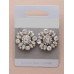 Lovely Silver Crystal Flower Style Earrings